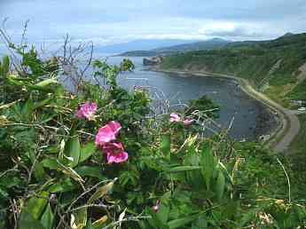 北海道、海